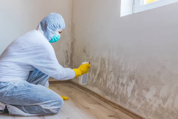Mold Remediation specialist working in Markham